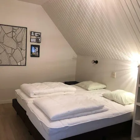 Holiday home Het Riethuis *